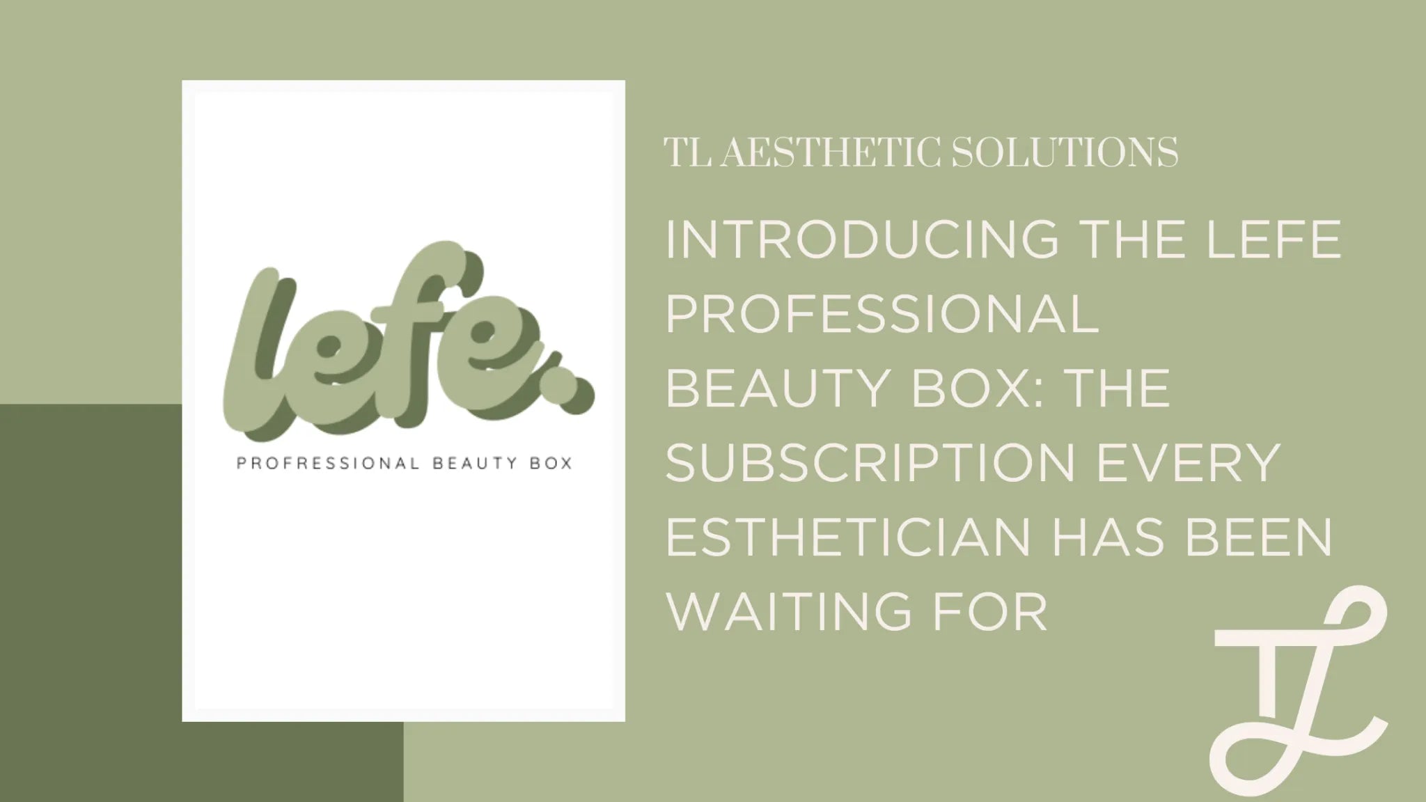 intro to the lefe box