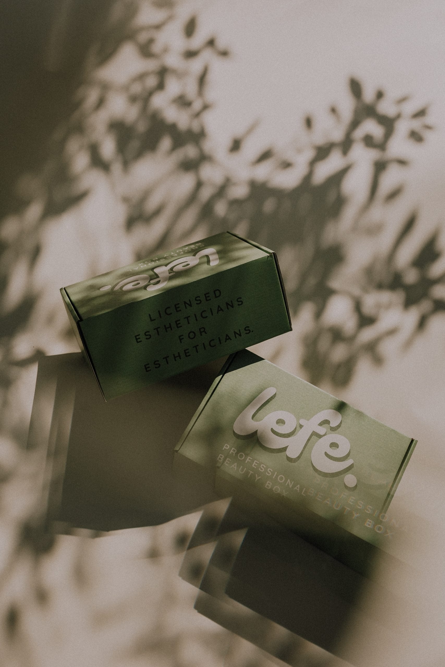 Lefe Professional Beauty Box image 3