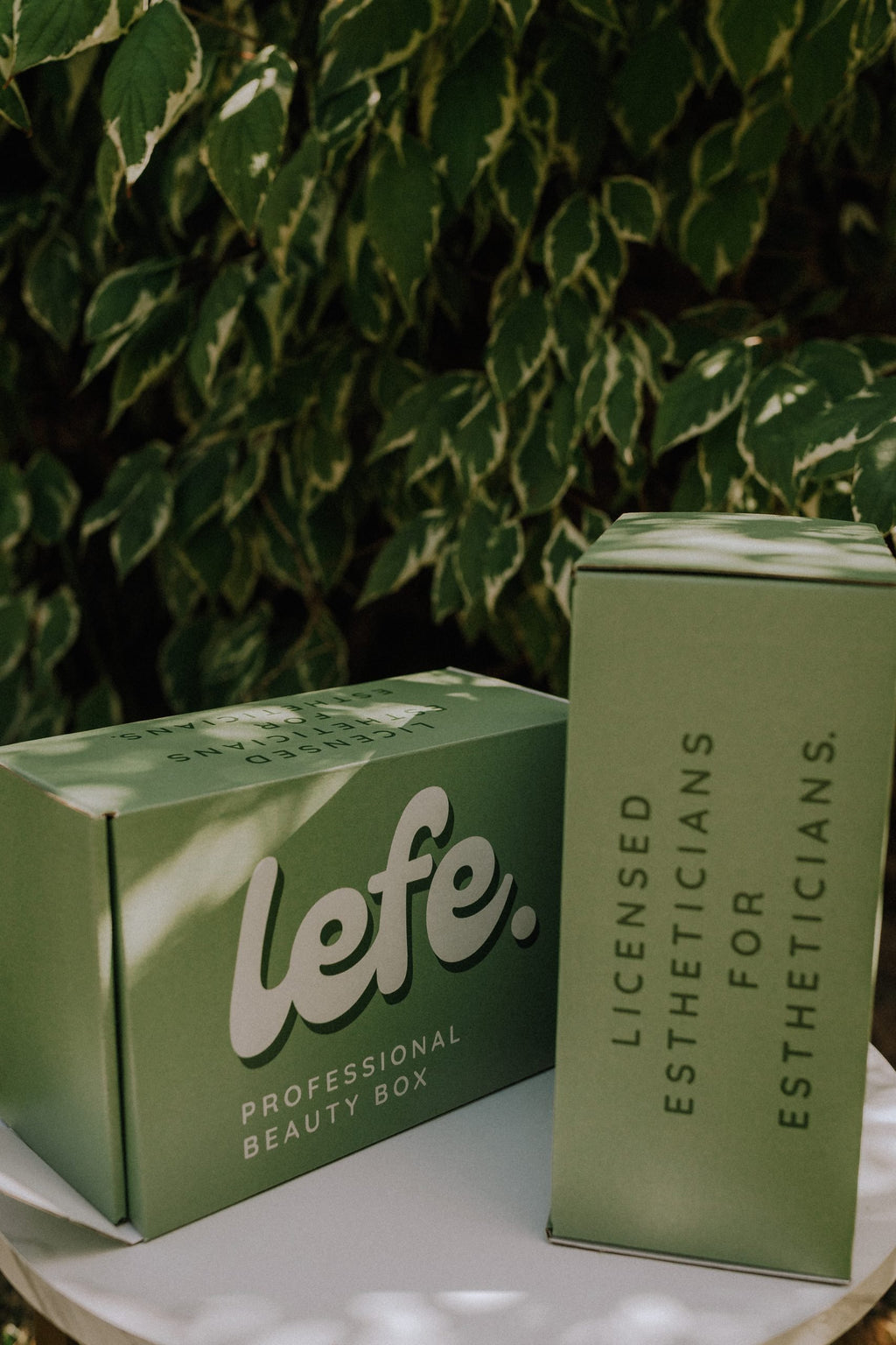 Lefe Professional Beauty Box image 1