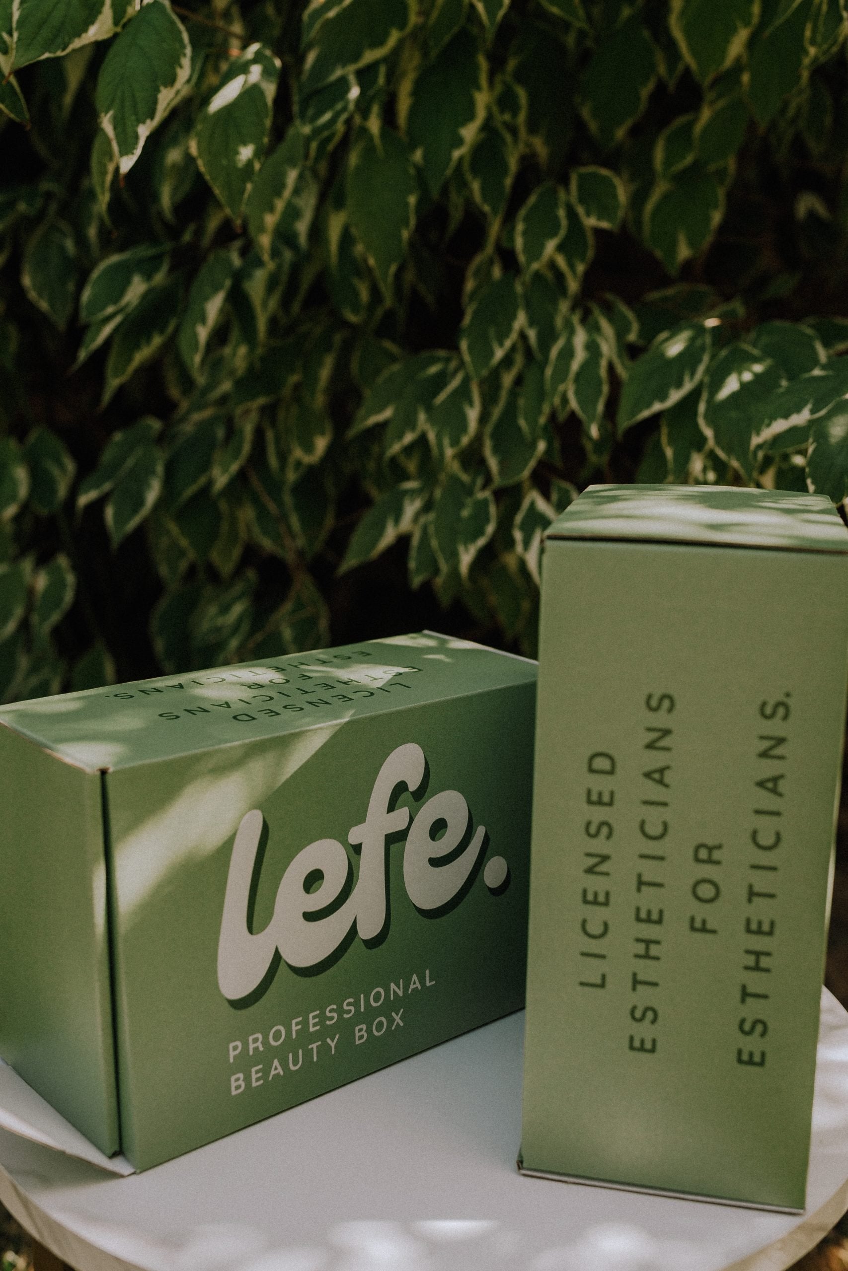 Lefe Professional Beauty Box image 1