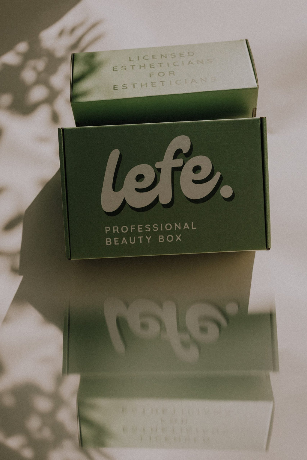 Lefe Professional Beauty Box image 2